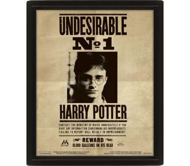 CUADRO 3D HARRY POTTER (POTTER/SIRIUS)