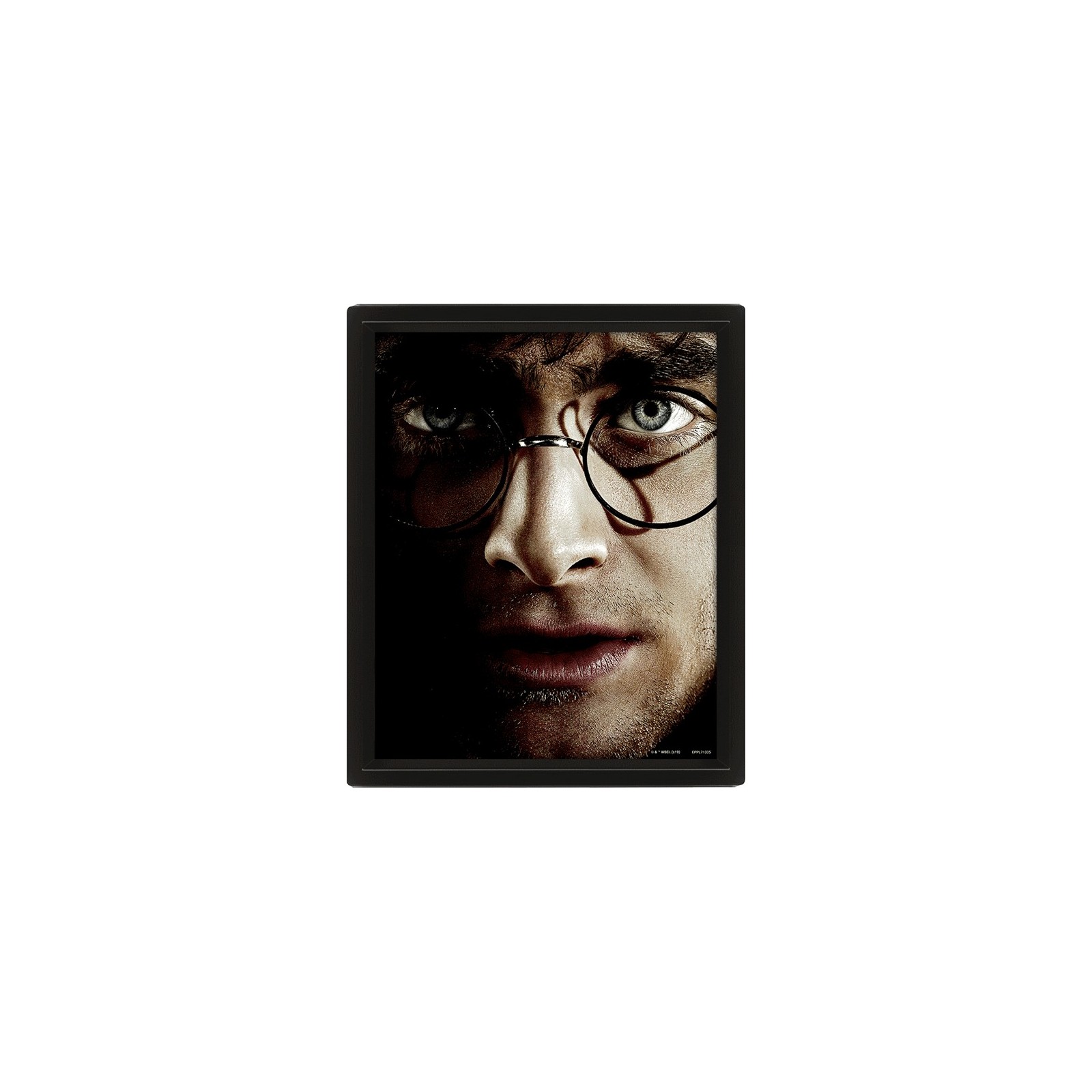 CUADRO 3D HARRY POTTER (HARRY/VOLDEMORT)