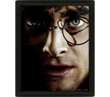 CUADRO 3D HARRY POTTER (HARRY/VOLDEMORT)