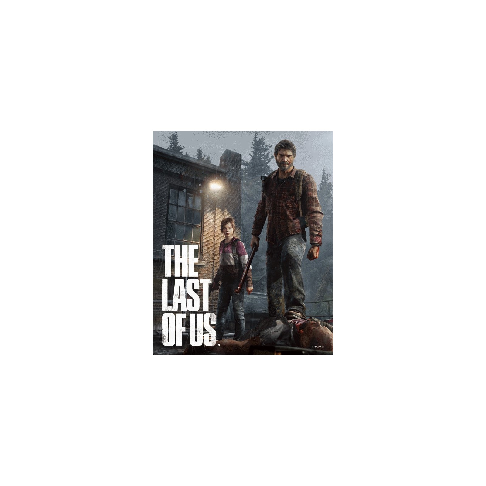 POSTER 3D THE LAST OF US