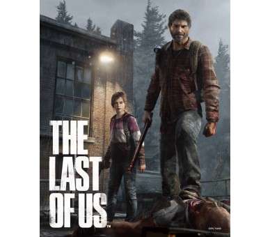 POSTER 3D THE LAST OF US