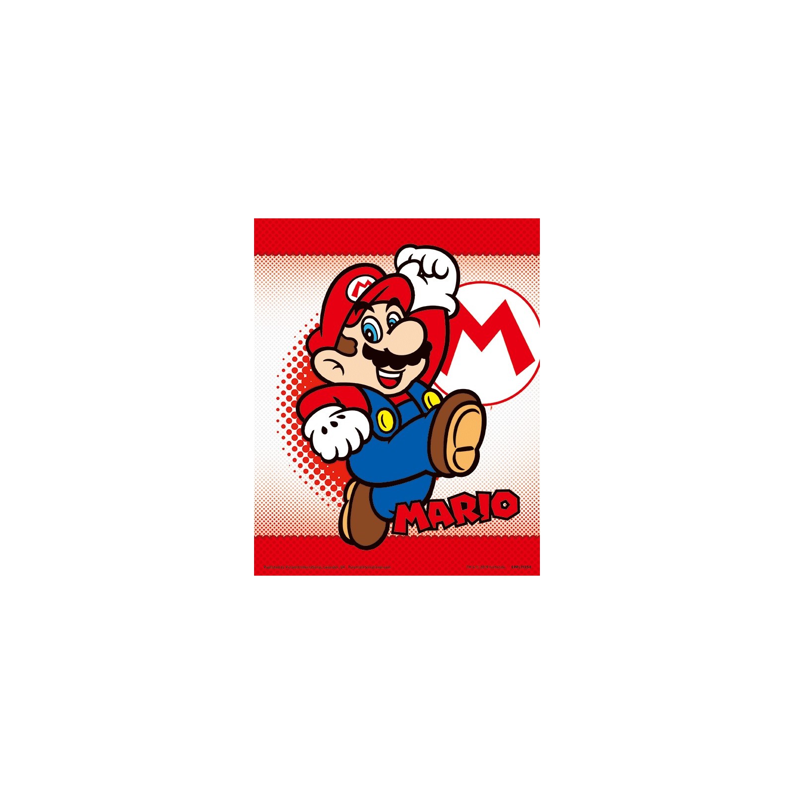 POSTER 3D SUPER MARIO (MARIO / YOSHI)