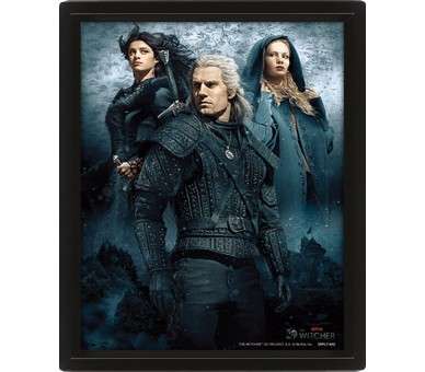 POSTER 3D THE WITCHER