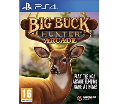 BIG BUCK HUNTER ARCADE