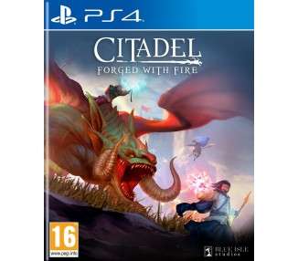 CITADEL: FORGED WITH FIRE