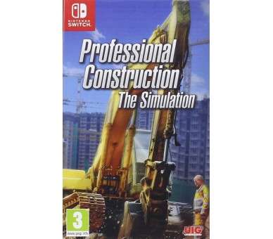 PROFESSIONAL CONSTRUCTION: THE SIMULATION