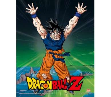 POSTER 3D DRAGON BALL Z POWER LEVELS INCREASED