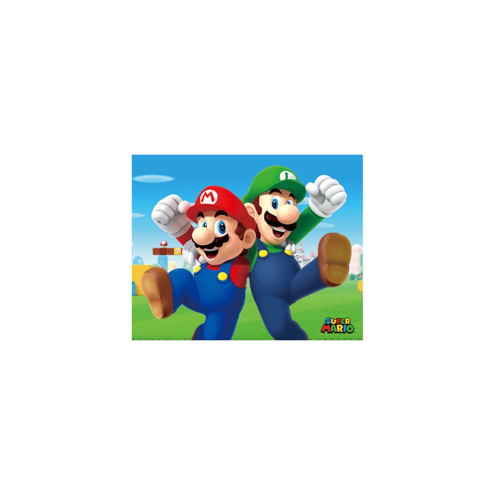 POSTER 3D SUPER MARIO - MARIO & LUIGI