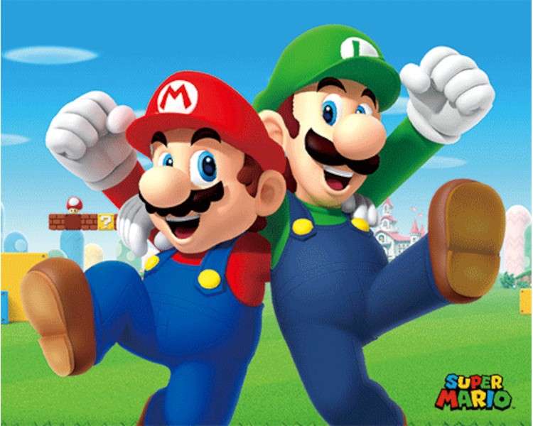 POSTER 3D SUPER MARIO - MARIO & LUIGI