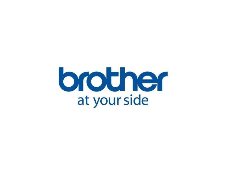 Brother Papel 10 Rollos Ancho 55mmx50mm