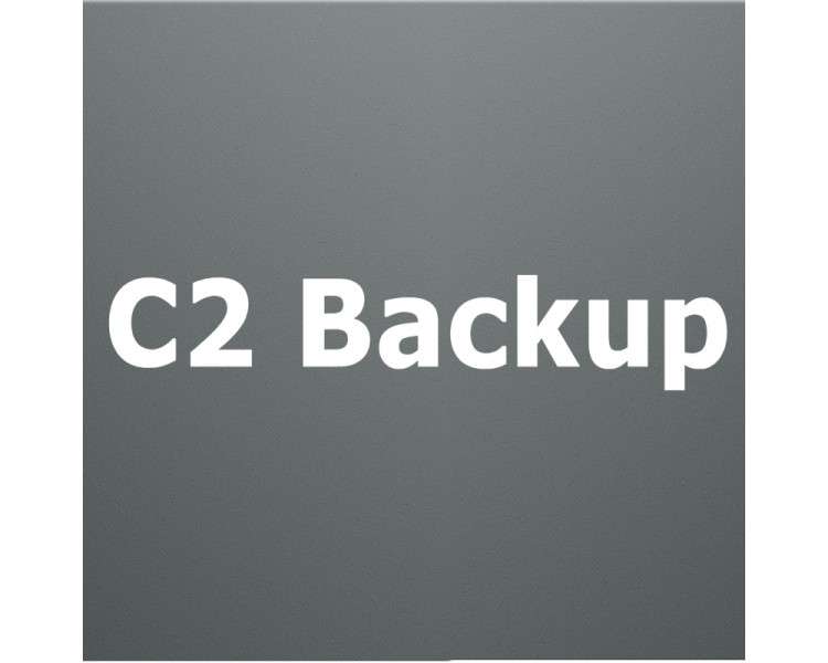 Synology C2 Backup License 500GB 1 ano