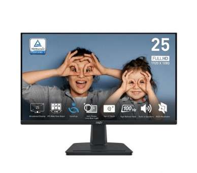 MSI MP251 Monitor 245 IPS FHD 16 9 4ms VGA HDMI