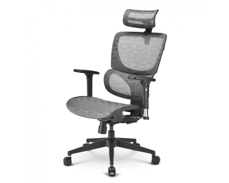 SILLA SHARKOON OFFICEPAL C30M NEGRA