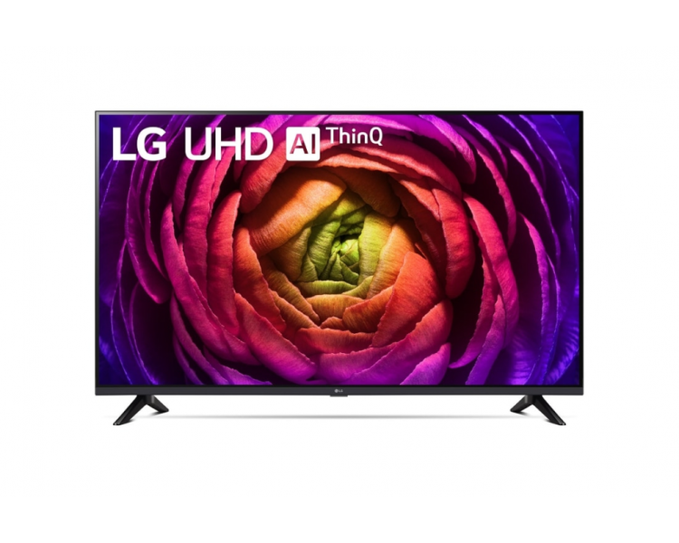 TV LG 65 65UR73006LA UHD STV WEB23 ALFA5 AITHINQ