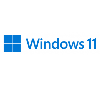 MS WINDOWS 11 HOME 64B DSP