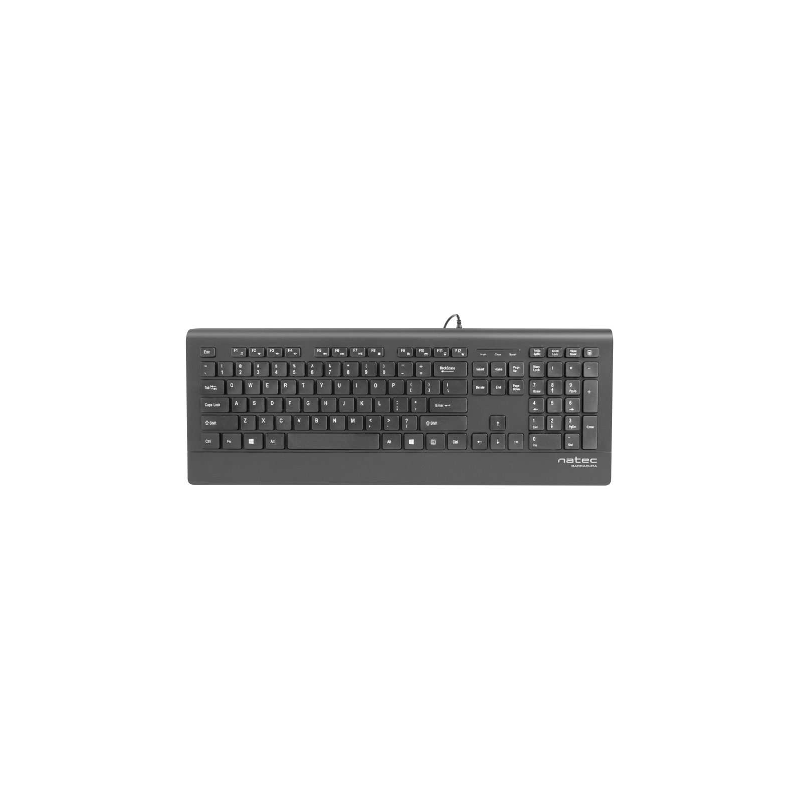 TECLADO NATEC BARRACUDA SLIM NEGRO