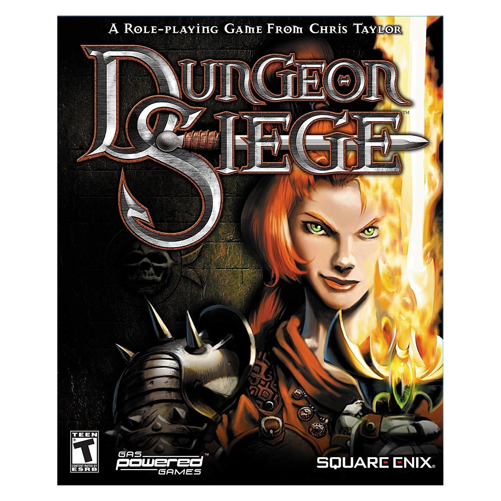 Dungeon  Siege Pc Version Reino Unido