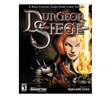 Dungeon  Siege Pc Version Reino Unido