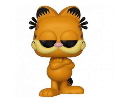 Figura Funko Pop Garfield