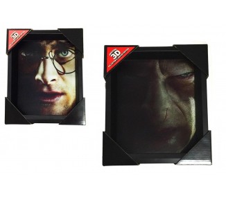 Poster 3D Harry Potter Harry / Voldemort