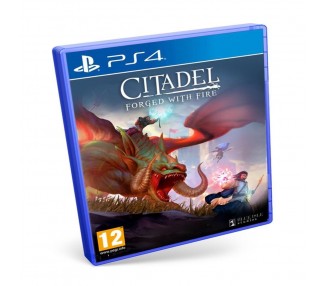 Citadel Forged With Fire Ps4