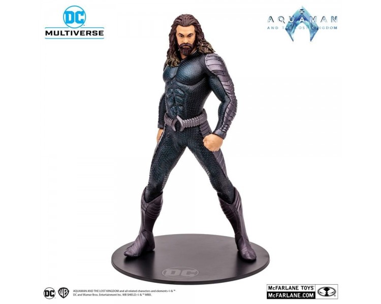 Figura Mcfalrne Toys Dc Aquaman 2 Movie 12In -  Aquaman Stea