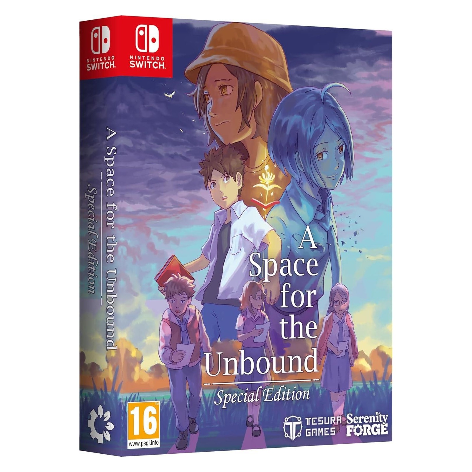 A Space For The Unbound Special Edition Switch