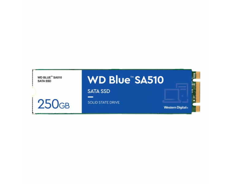 SSD WD BLUE SA510 250GB M2