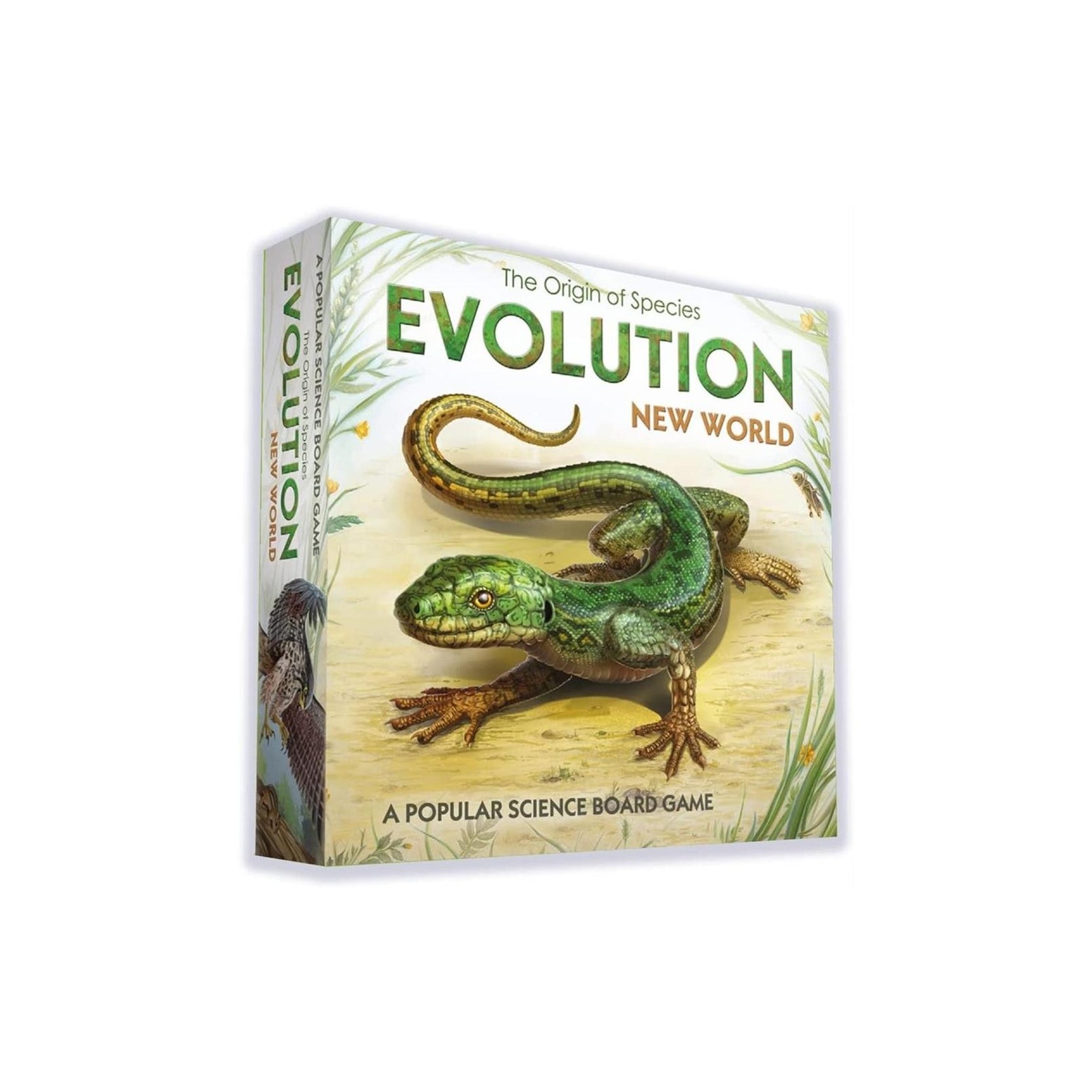 Juego mesa evolution new world ingles