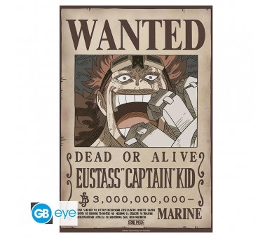 Poster gb eye chibi one piece