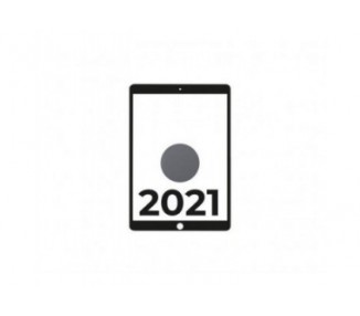 Apple Ipad 10.2 2021 9Th Wifi Cell/ A13 Bionic/ 256Gb/ Gris