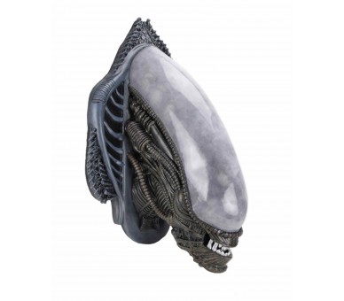 Replica neca cabeza alien xenomorph trofeo