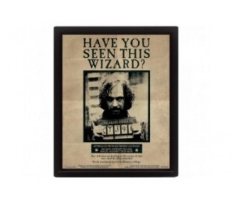 Poster 3D Harry Potter Potter / Sirius