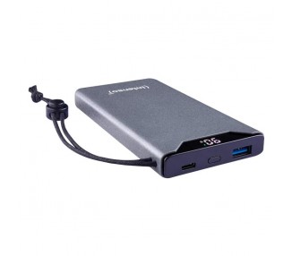 Intenso PowerBank F10000 10000 mAh Gris