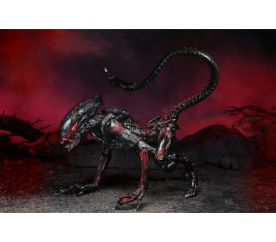 AF Aliens Kenner Cougar Alien