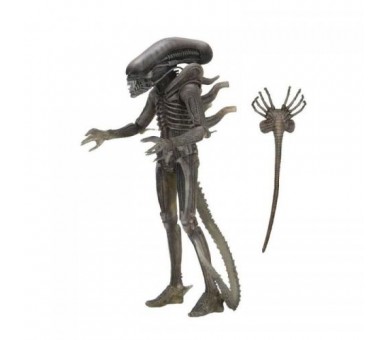 Alien 40th Anniversary (Wave 4) : Alien 18 cm