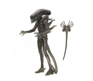 Alien 40th Anniversary (Wave 4) : Alien 18 cm