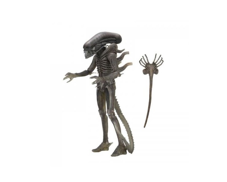 Alien 40th Anniversary (Wave 4) : Alien 18 cm