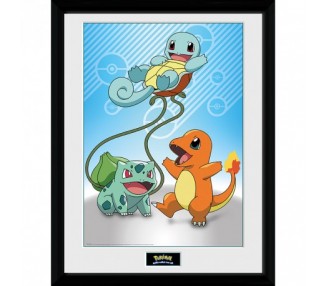 Pokemon Framed Poster - Kanto Starters