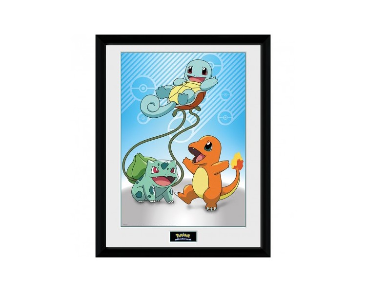 Pokemon Framed Poster - Kanto Starters