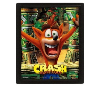 Crash Bandicoot Framed 3D Cornice Mask Power Up 26x20