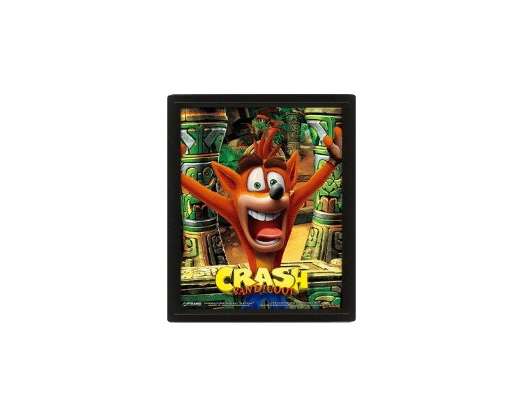 Crash Bandicoot Framed 3D Cornice Mask Power Up 26x20