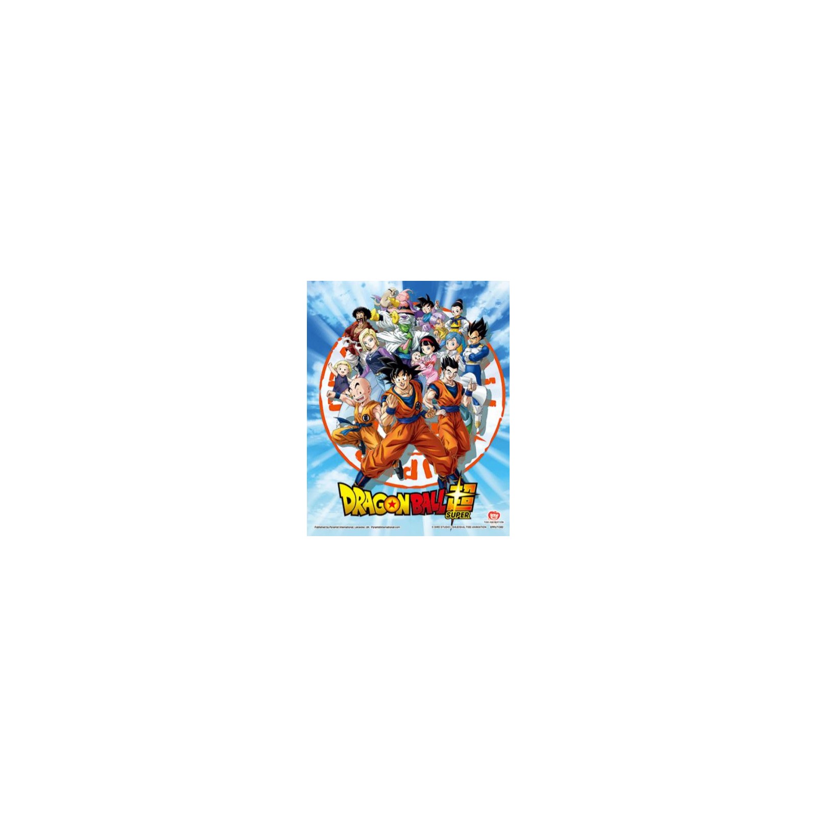 Dragon Ball S Framed 3D Cornice Goku Z Fighters 26x20 (gt5)