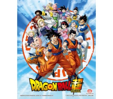 Dragon Ball S Framed 3D Cornice Goku Z Fighters 26x20 (gt5)