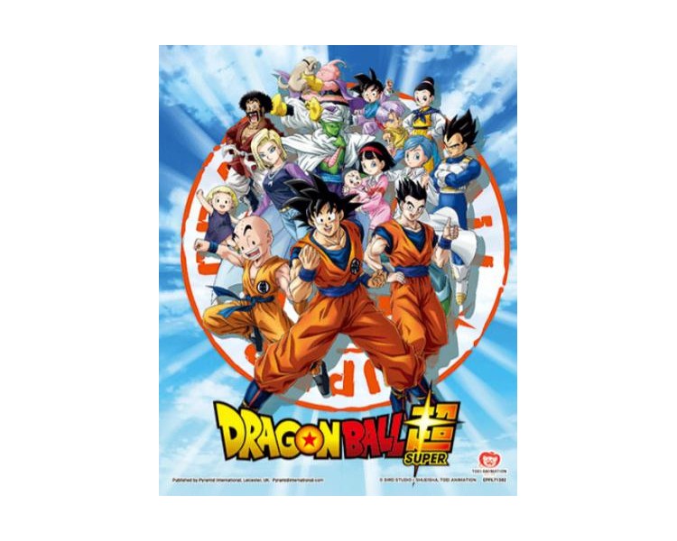 Dragon Ball S Framed 3D Cornice Goku Z Fighters 26x20 (gt5)