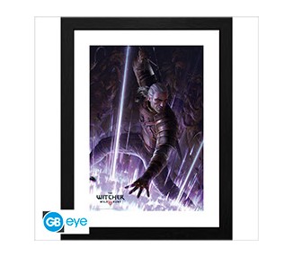 The Witcher Framed Print Cornice Geralt