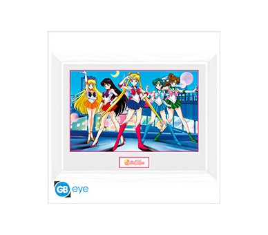 Sailor Moon Framed Print Group (30x40)