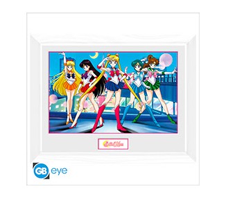 Sailor Moon Framed Print Group (30x40)