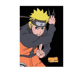 Coperta in Pile Naruto Shippuden : Naruto (B)