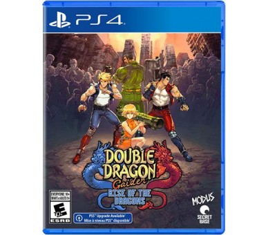 Double Dragon Gaiden: Rise of the Dragons